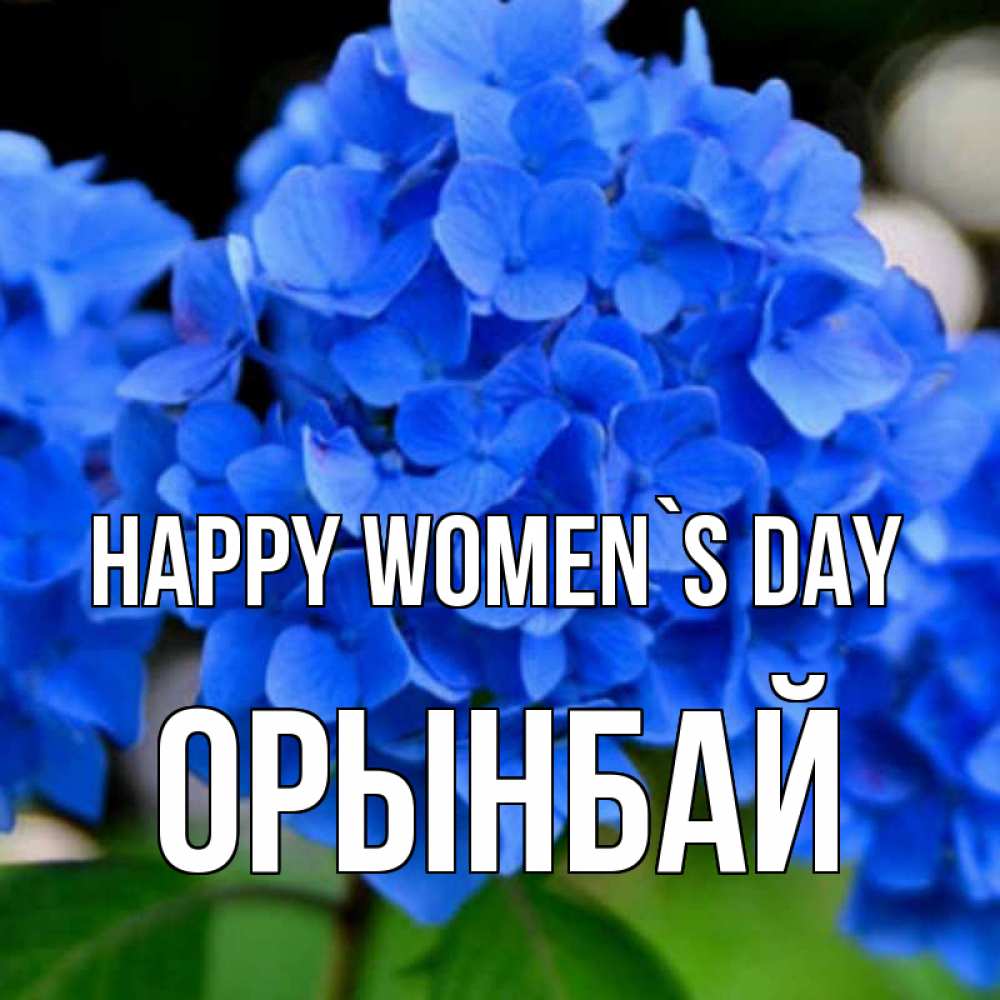 Greetings card с именем, ОРЫНБАЙ happy women`s day синие цветы Greetings with text for free download 